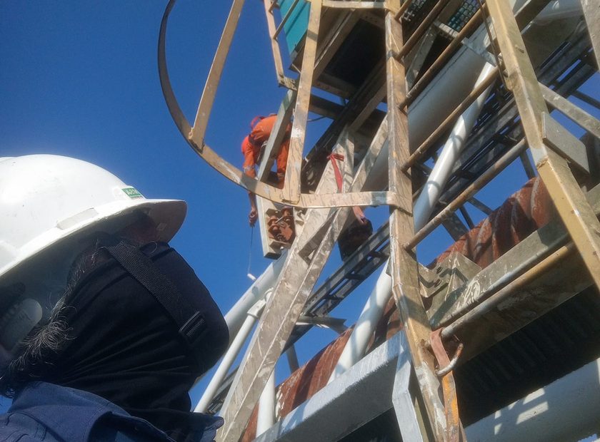 Survey & Inspection